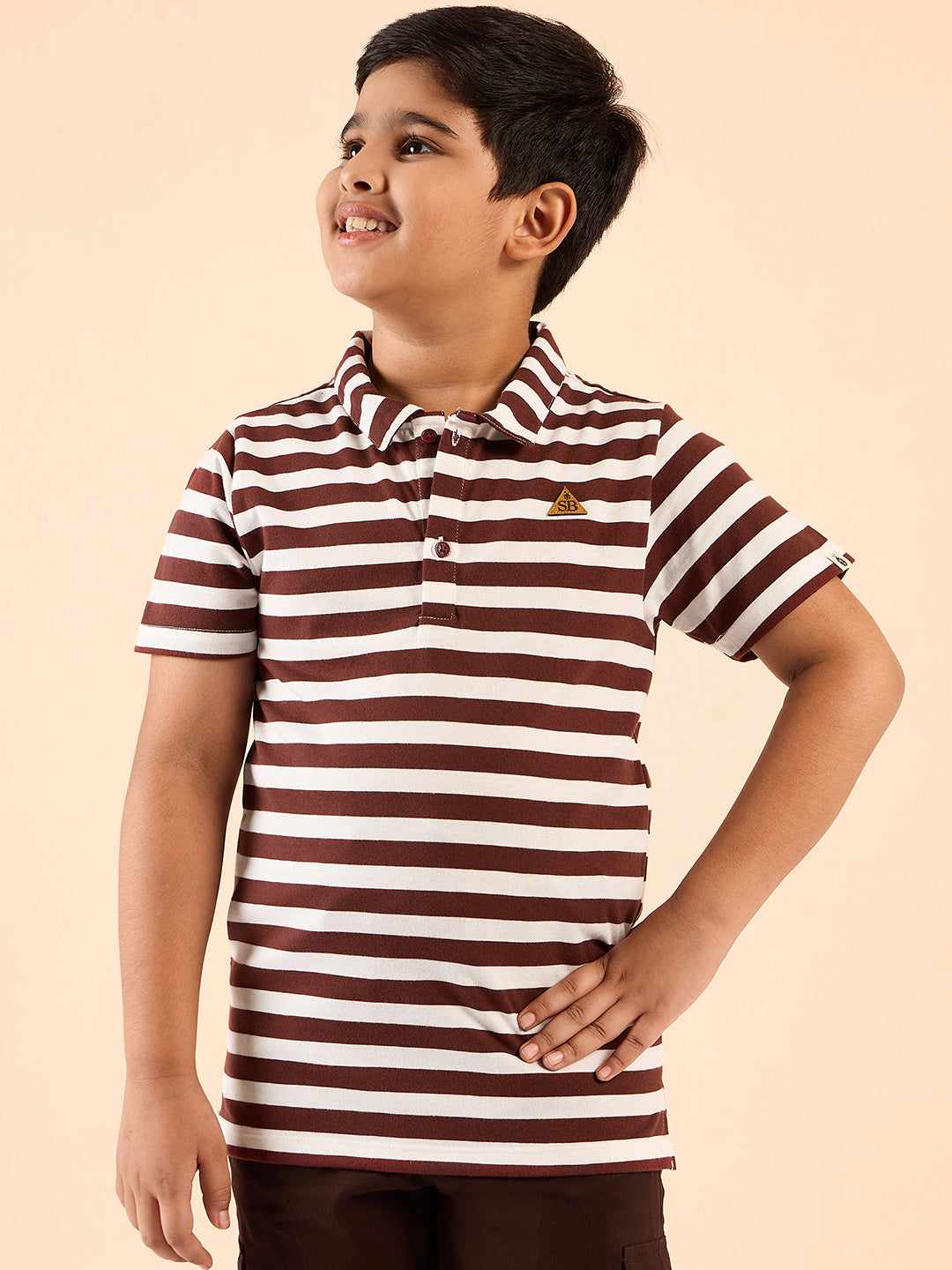 Boys Waist Length Printed T-shirt - Brown